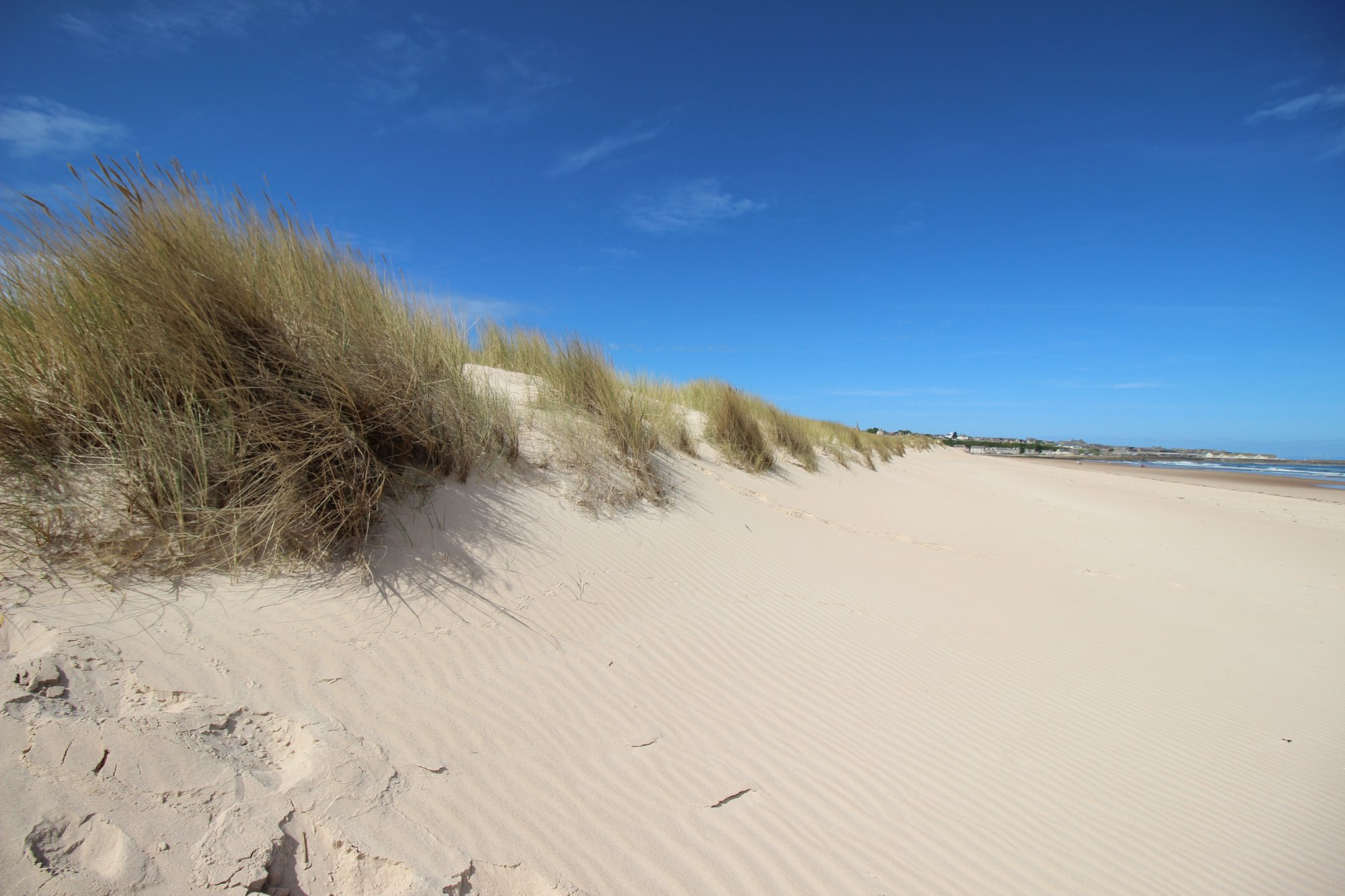 Wschodnia Plaża Lossiemouth