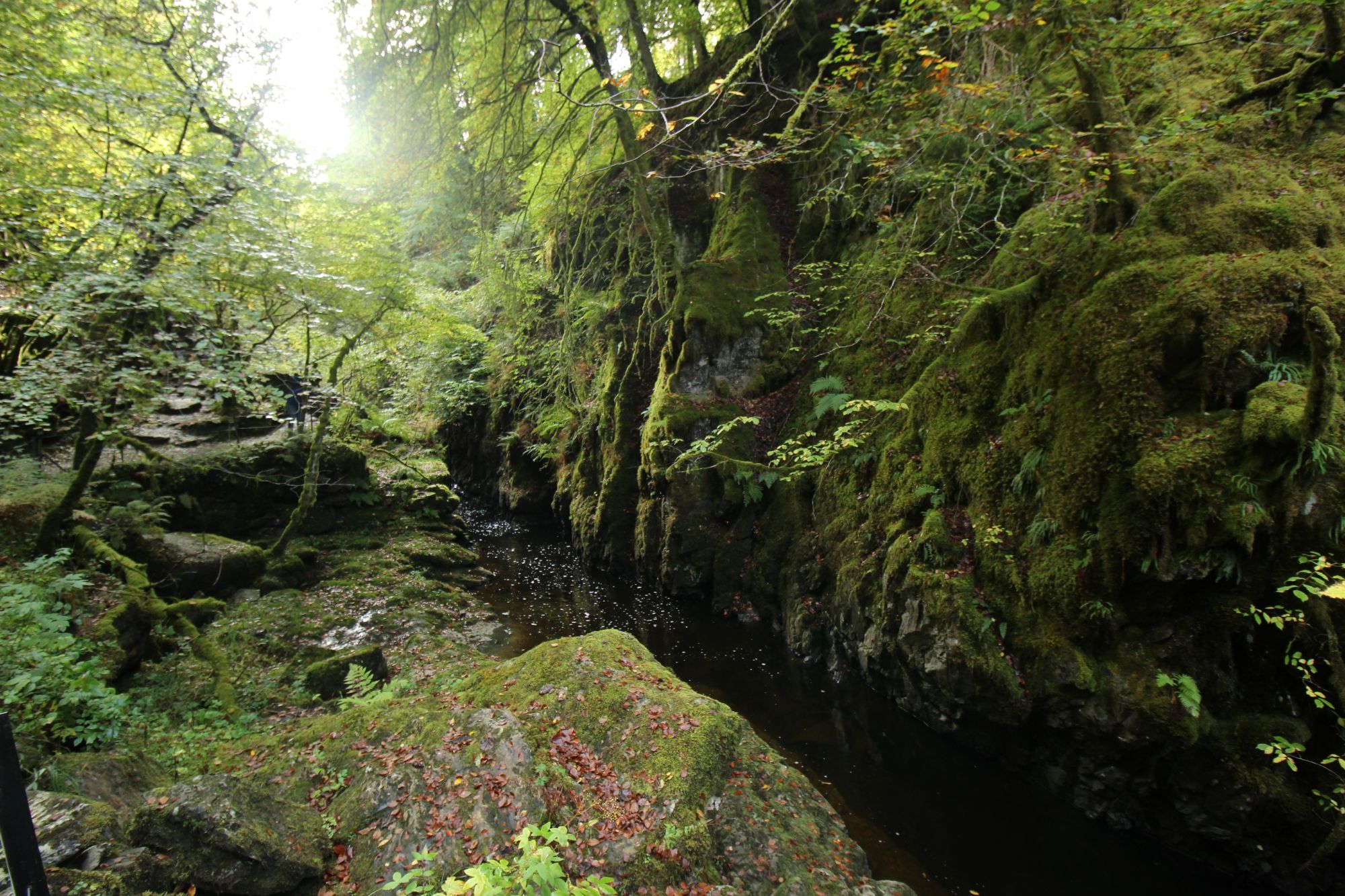 Wąwóz w Aberfeldy