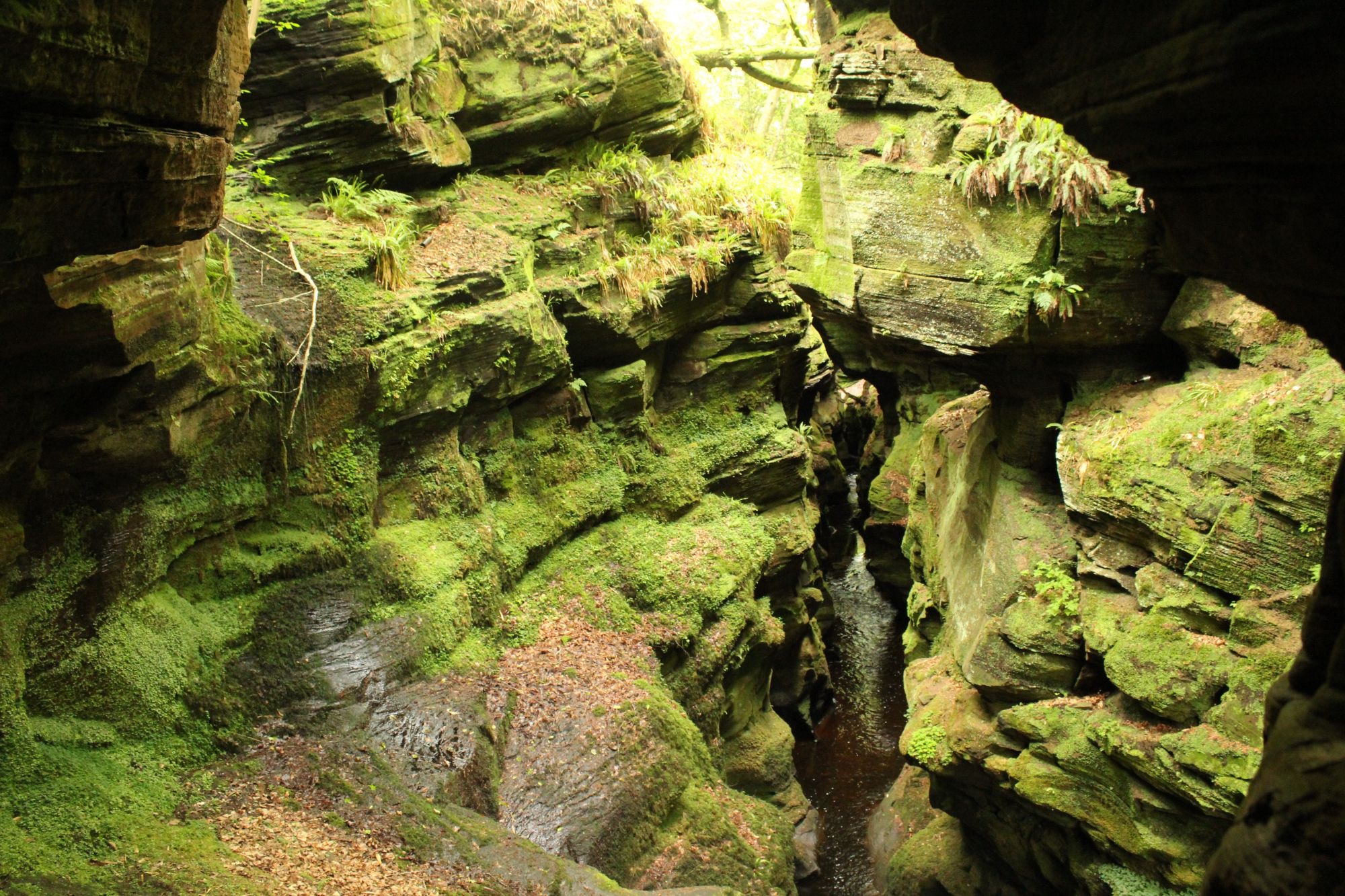 Crichope Linn