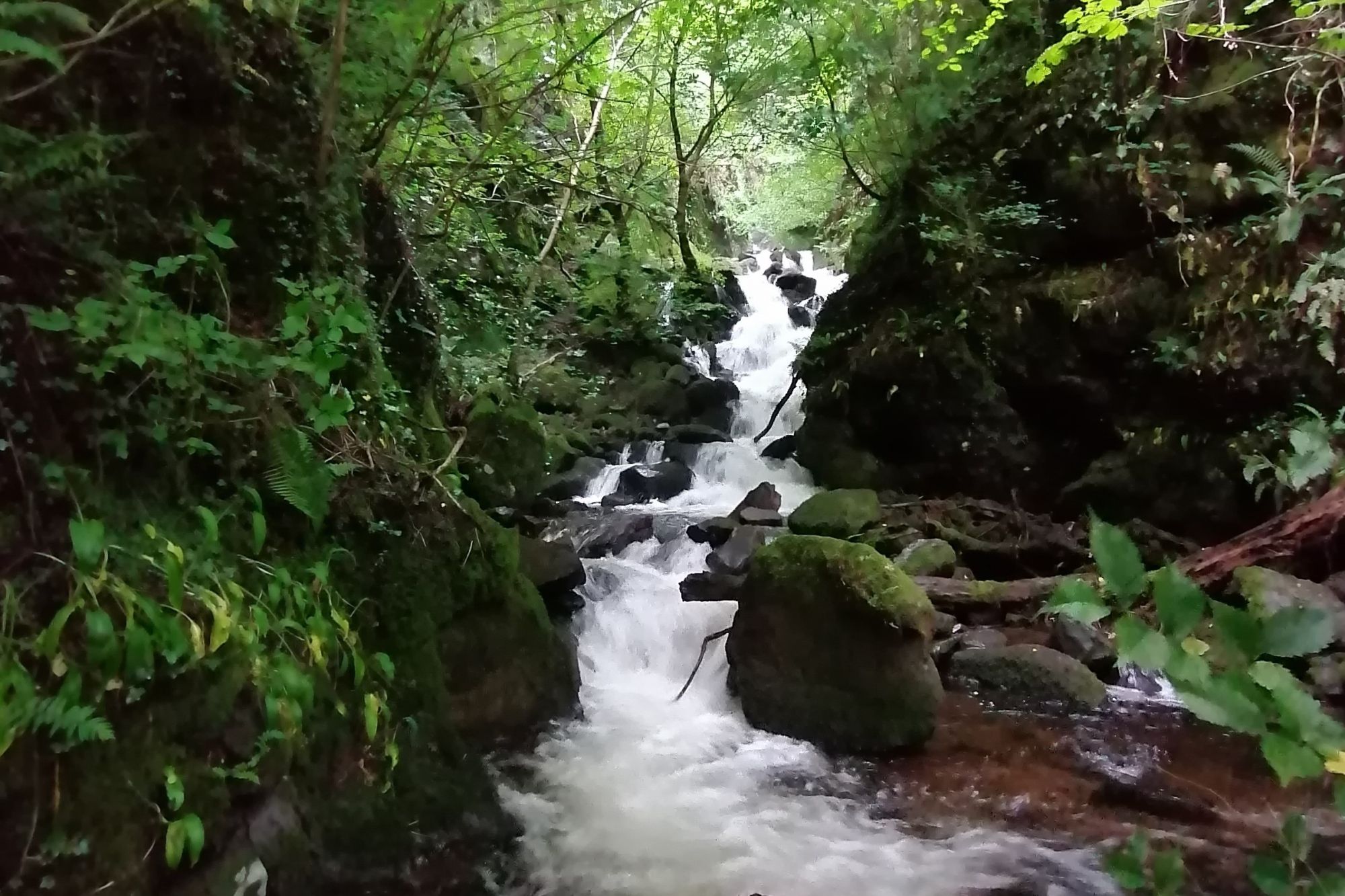 Dolina Glen